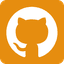GitHub icon